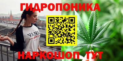 прущие грибы Пыть-Ях