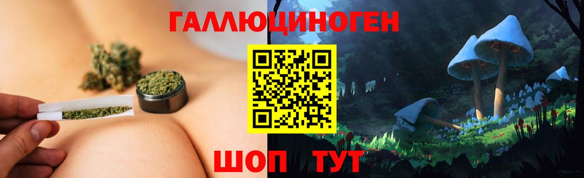 Россошь  Псилоцибиновые грибы MAGIC MUSHROOMS  Вход с VPN 